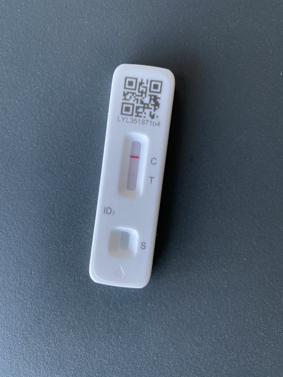 Prof Alice Roberts💙 tweet media