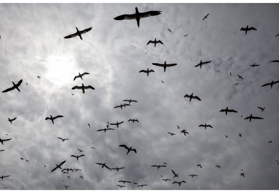 1st print now available for #photoprintday to receive this print be the first to leave a comment and send a screenshot to me of you donation (£10 minimum) to a #ukraine aid charity ukrainewar.carrd.co  and I’ll post it off to you. Thanks for supporting this great cause.