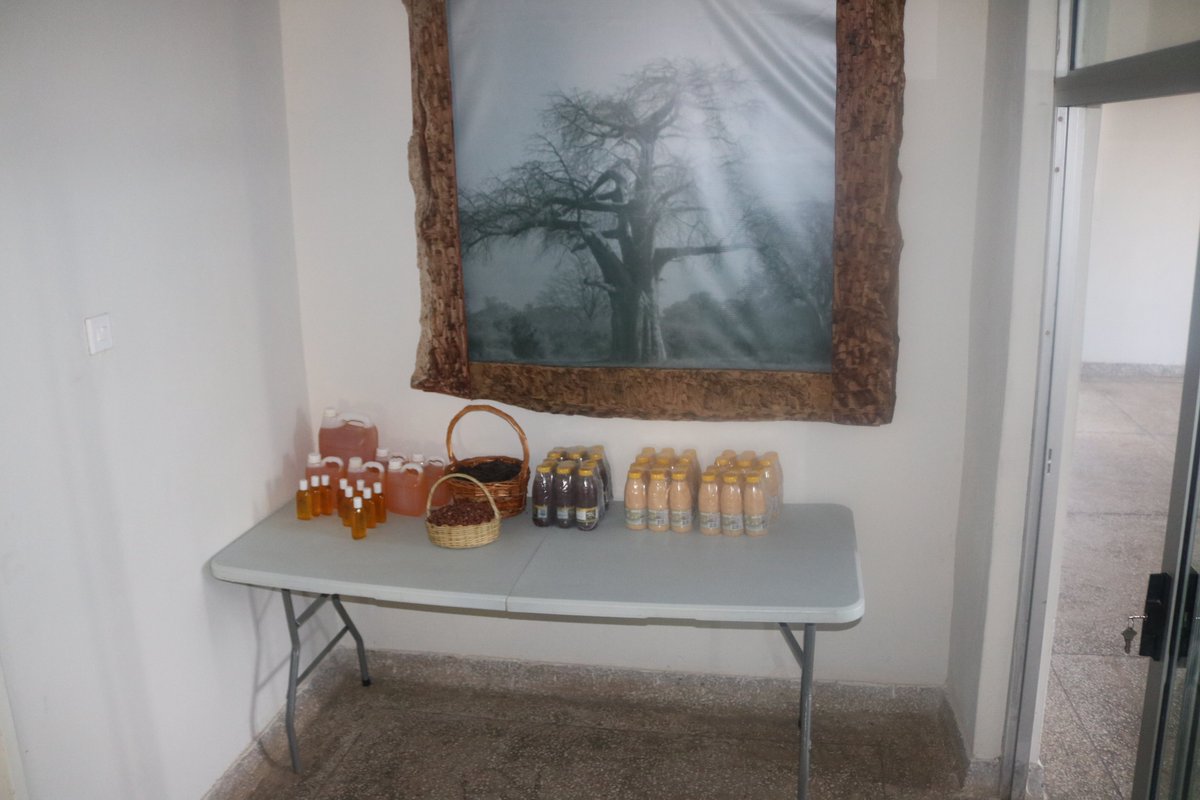 AGSZambia's tweet image. A visit to Forest Africa, an enterprise that is adding value to Zambian wild fruits - including Mabuyu &amp;amp; Ngai. They have completed our 6-month LEVEL UP Accelerator programme &amp;amp; are confident that they are on the way to greatness.

#finlandinzambia #msmedevelopment #LevelUp