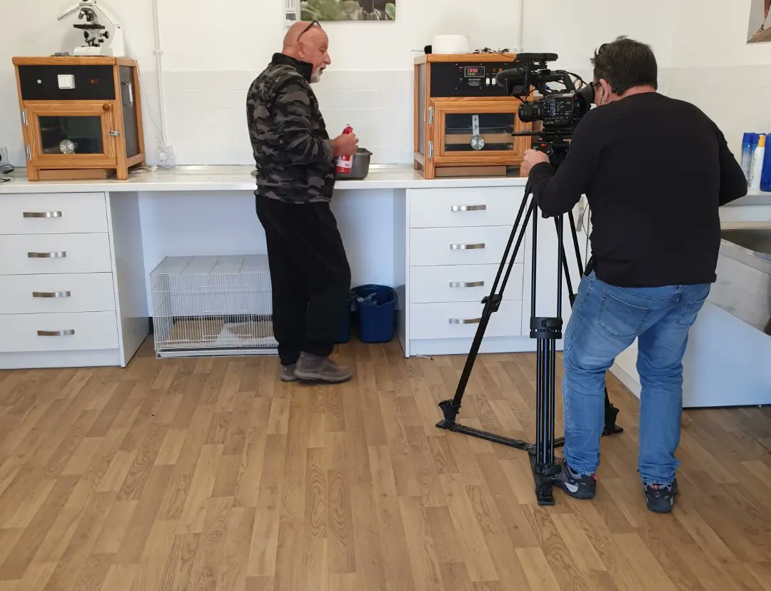 GibReserve's tweet photo. Filming continues 4 Rock Explorers about what goes on at Tovey Cottage: Reuben Senior & U Rock maintenance, & Vincent Robba about magnificent Peregrine Falcons being rehabilitated before released this summer...๐ฆ
๐
#rockexplorers #toveycottage #gibnaturereserve #peregrinefalcon https://t.co/vqNYPrFHhl