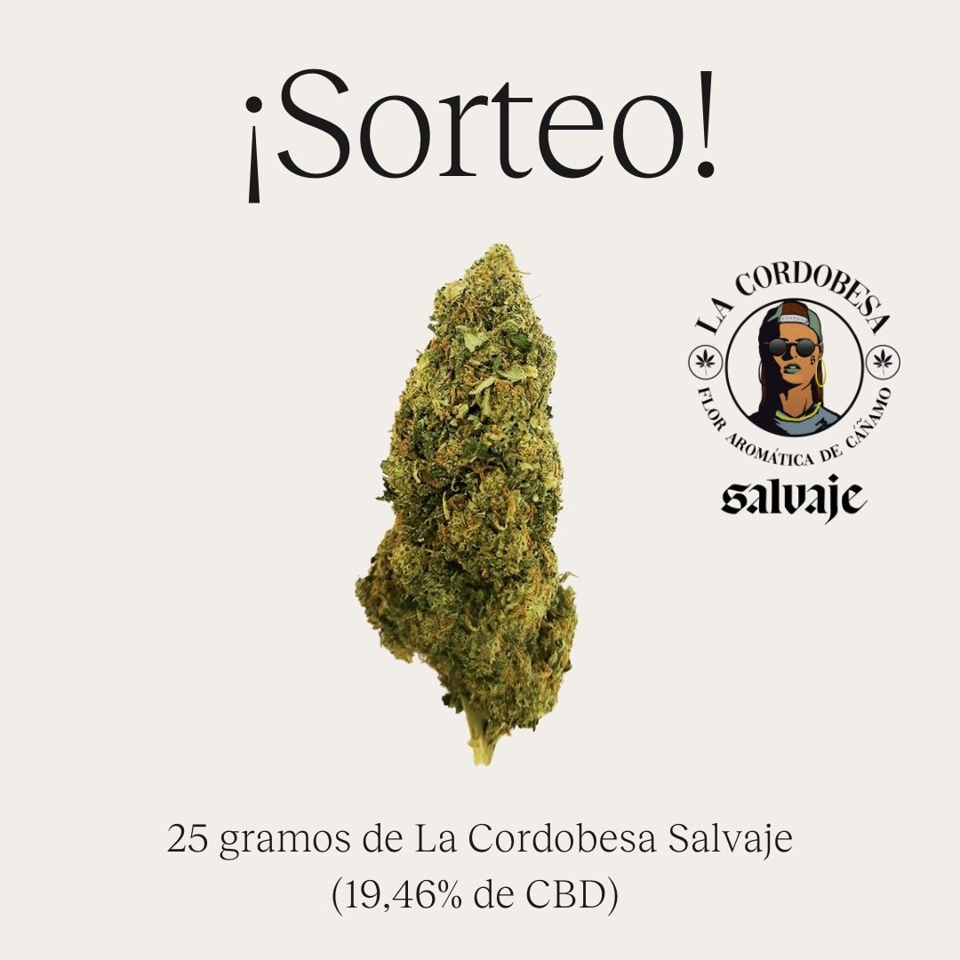 SALVAJE® ???? on Twitter: SALVAJE® ???? on Twitter: