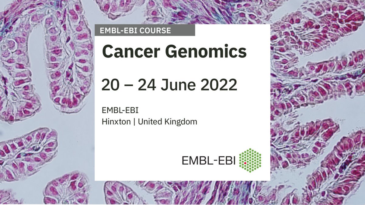 EBItraining's tweet photo. What will you learn at #EBIcangen?
➡️ High throughput #sequencing
➡️ #genomics and #epigenetics
➡️ Structural variation and #datavis
➡️ #CRISPR-Cas9 #genome editing
➡️ #RNA-seq analysis
➡️ #Singlecell research
Apply by 11 March: https://t.co/2r8IsMutTV https://t.co/Mwq5pDrTVb