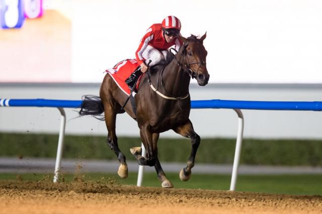 Дубайские скачки. Скачки в Дубае. Скачки Dubai World Cup. Стадион для скачек Дубай.