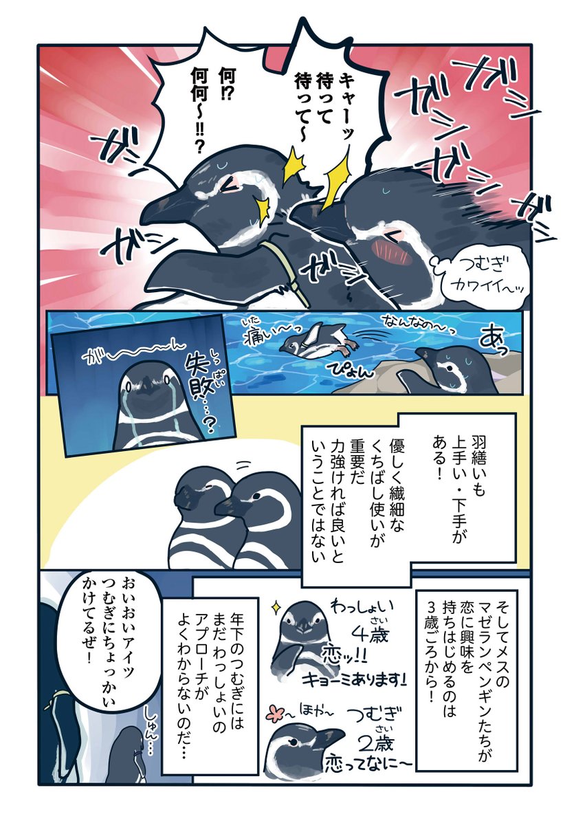 ウォーカープラスで連載中の「下町ペンギン物語」一部抜粋で掲載します!
すみだ水族館のペンギンたちの恋愛・友情・複雑すぎるペンギン関係(人間関係)を描いています!
ウブな恋愛中のわっしょいとつむぎ、どうなる─…!?

https://t.co/mgUi87XOWw
↑続き・他全話こちら 