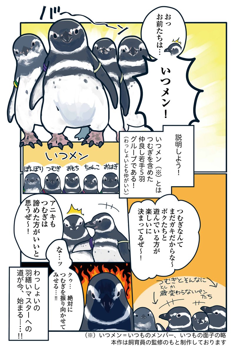 ウォーカープラスで連載中の「下町ペンギン物語」一部抜粋で掲載します!
すみだ水族館のペンギンたちの恋愛・友情・複雑すぎるペンギン関係(人間関係)を描いています!
ウブな恋愛中のわっしょいとつむぎ、どうなる─…!?

https://t.co/mgUi87XOWw
↑続き・他全話こちら 