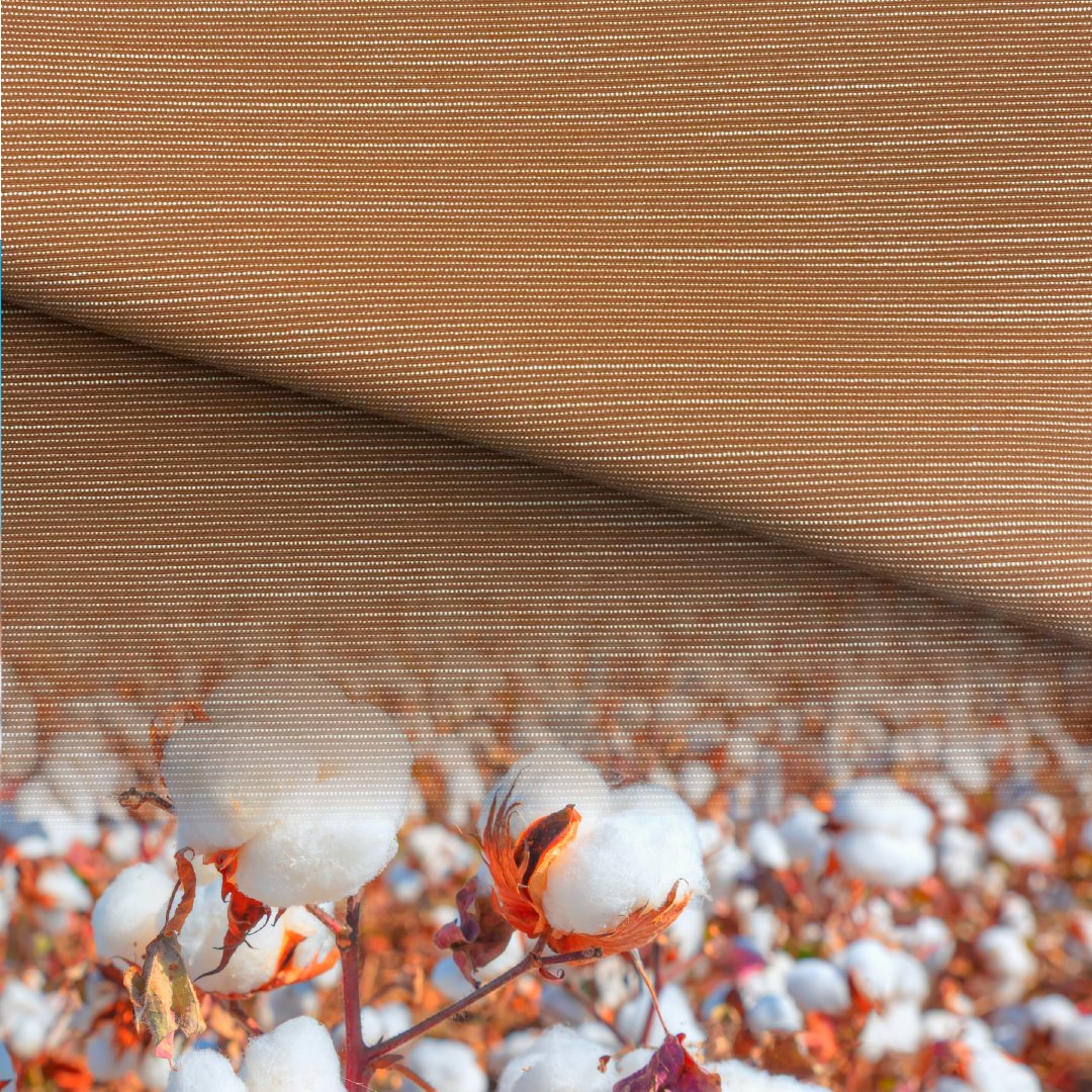 FulltideL's tweet photo. Spring To Live!

It seemed as if the spirit of spring had passed through the winter cold. You can feel the vastness and beauty of nature.

RD06544-02
RD06545-02

．Eco-friendly fabric
．Various Functional Finishing
．100% Recycled fabric
．GRS/BLUESIGN®

#polyesterfabric https://t.co/mij1sSXzZ8