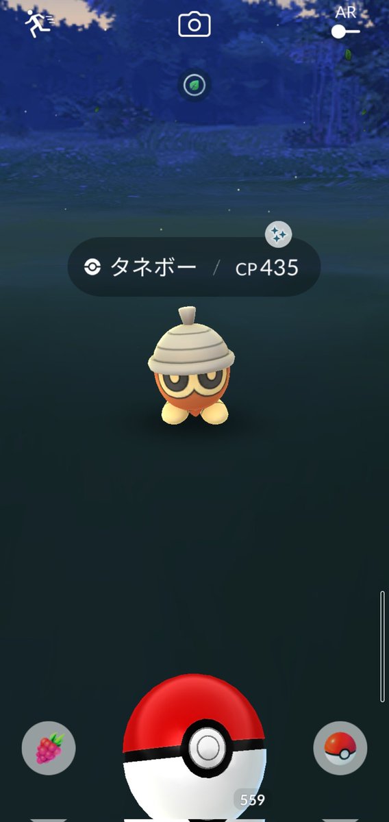 ポケモンgo マメパトの色違い 入手方法と実装状況 攻略大百科 ポケモンgo マメパトの色違い 入手方法と実装状況 攻略大百科
