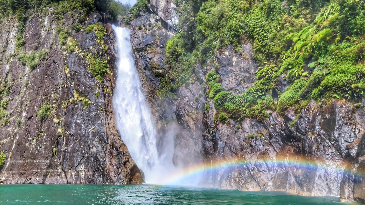 InterfaceSpain's tweet photo. [ Día 3 ] 🤩 ¡La aventura continúa! 

🌿 La última parada del #presstrip de @chiletravel ha sido el Lago Tagua Tagua y el río Puelo, entorno en el que han podido practicar senderismo y pesca recreativa. 

#ChileIsBack https://t.co/oZ3leL4CXg