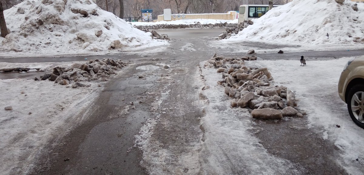 Светлана tweet media