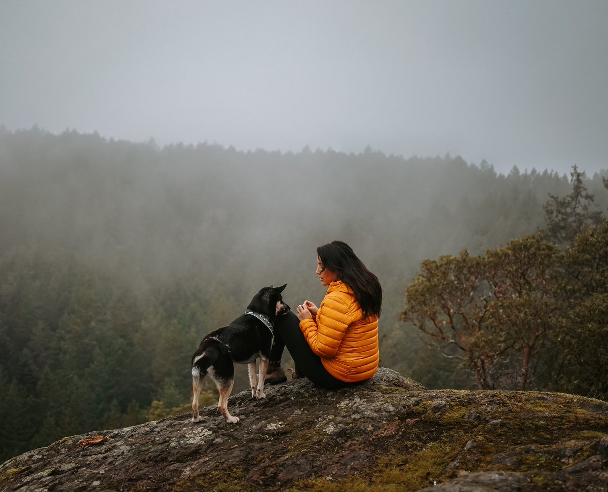 We did it! We made the leap to twitter! 
Hi! I’m Trafaun,
This is my rescue pup koda! 
We live on Vancouver island and enjoy hiking, swimming, paddle boarding, and so much more! Follow along for some super cute doggie content! 

#pnwdogs #adventurepup #bestwoof10k #dogs