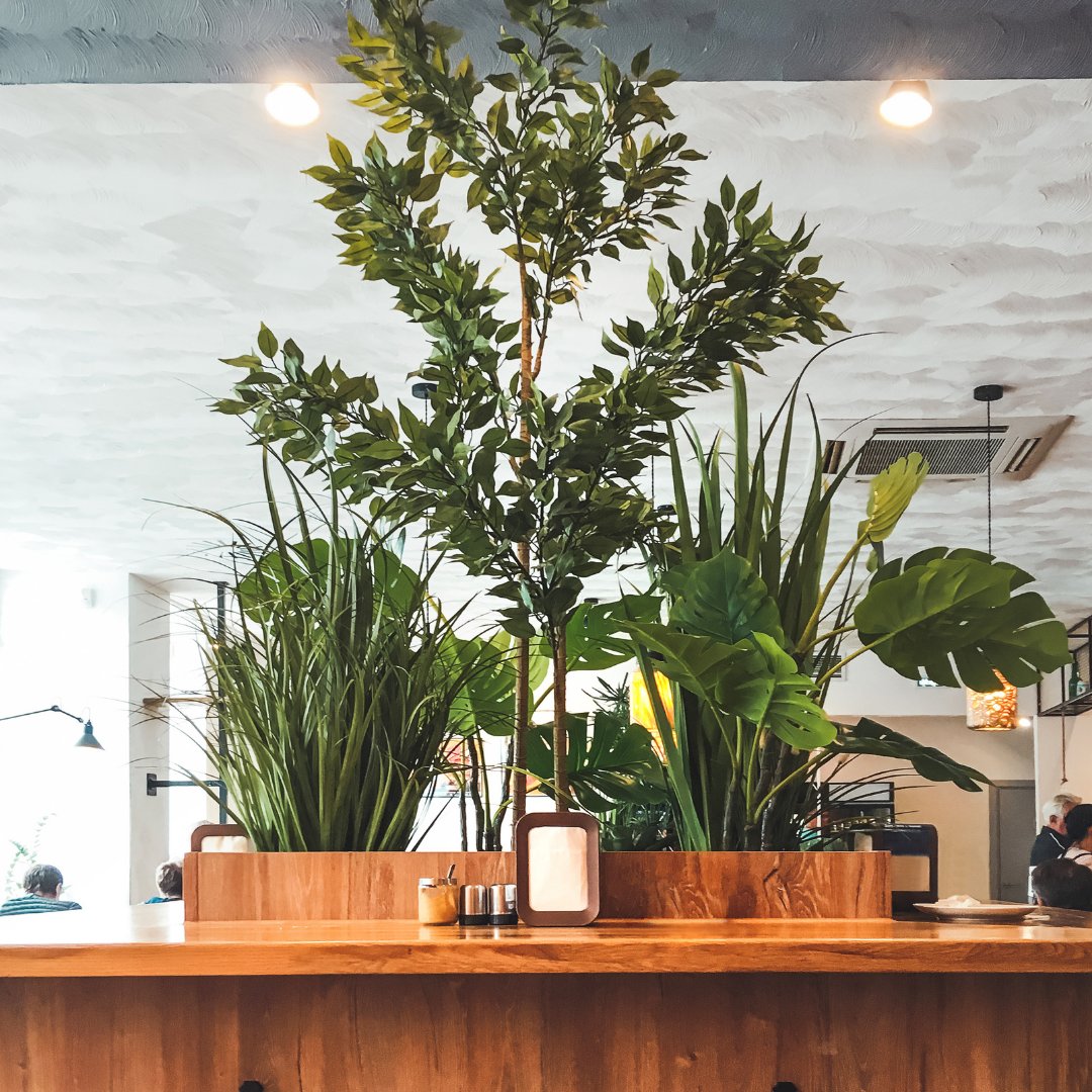 the_greeneast's tweet image. Do you have plants in your restaurant that
need a little love and attention?

We offer a #plant refresh, declutter and maintenance
service for your indoor plants.

Or if you are looking for some greenery for your cafe or
#restaurant then we can help. 

#northernirelandbusiness