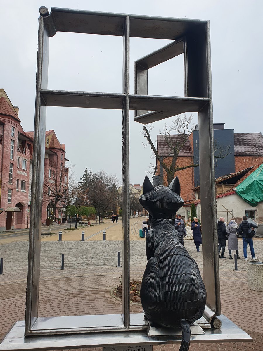 Евгений Лапочкин 🇷🇺 tweet media