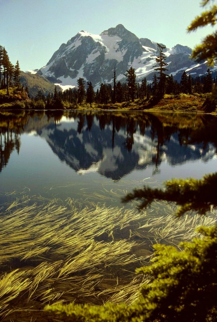 Have a Nice Day 💚💚💙💙