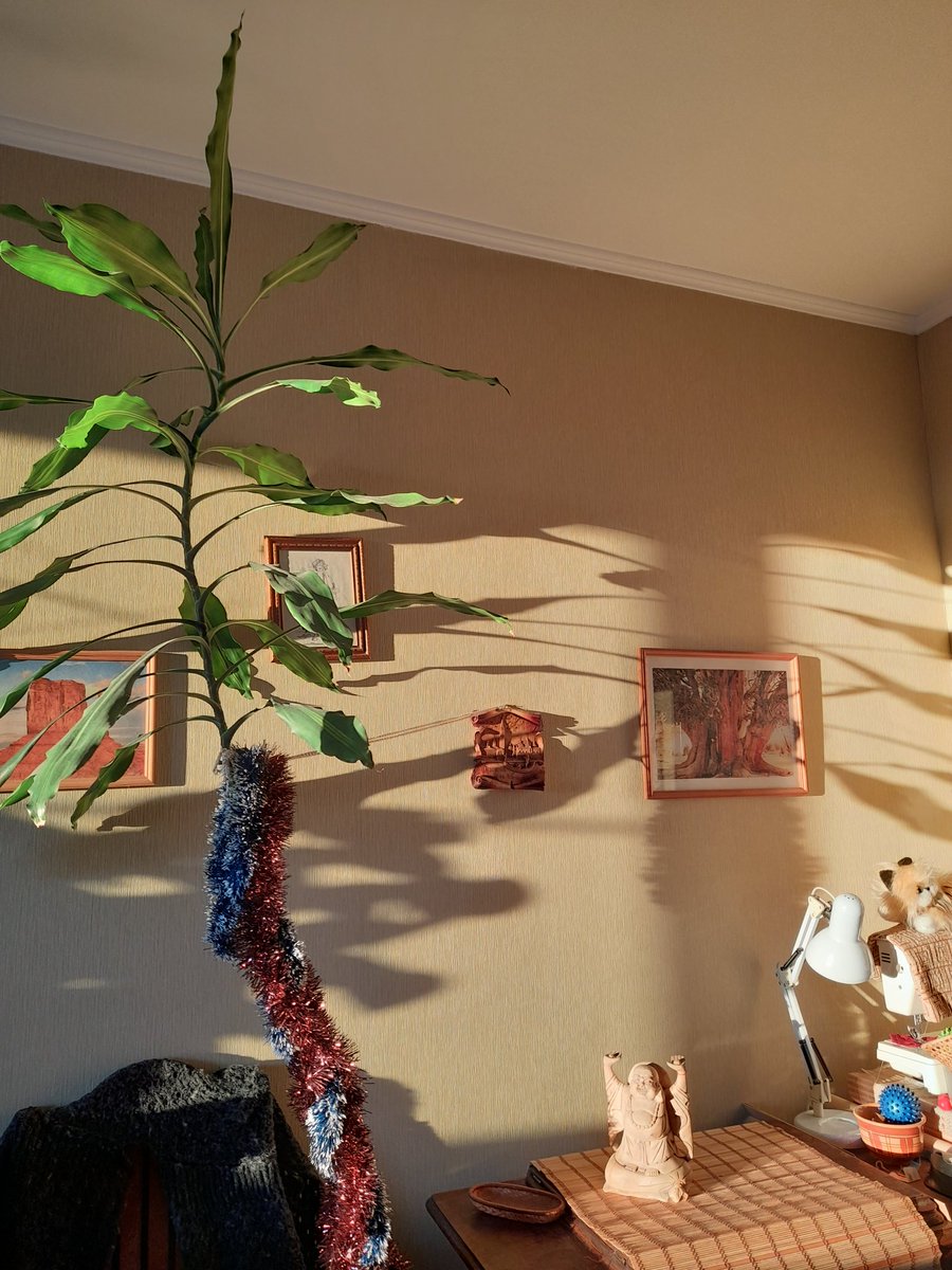 #TodayInHistory #sunny #morning #нетвойне