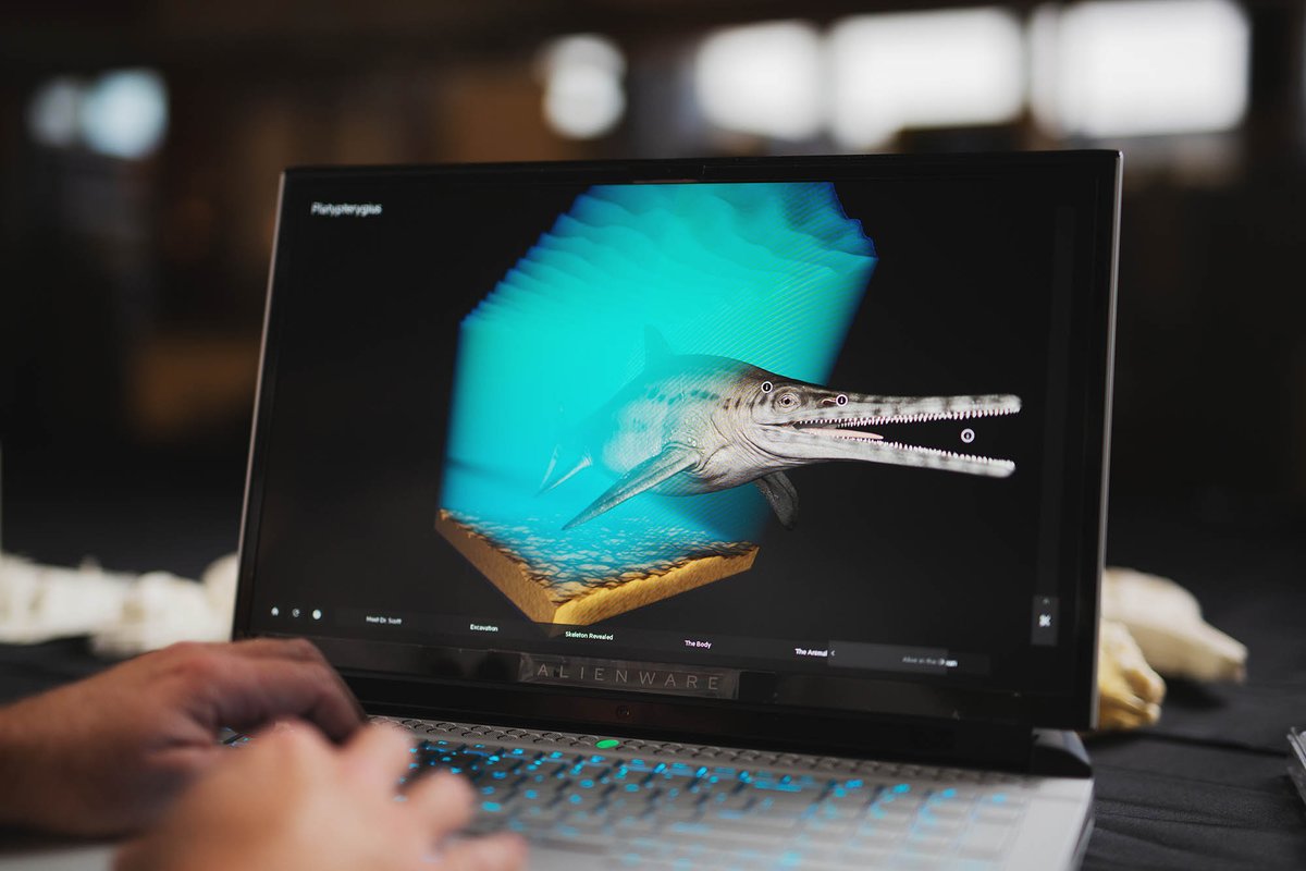 qldmuseum's tweet image. Tech is revolutionising the way museum researchers uncover and explore the creatures that roamed ancient Queensland. From photogrammetry to X-Ray and 3D modelling, discover new palaeontological tools @WSFBrisbane: bit.ly/3h5xDyq Supported by @bhp #ProjectDIGQM