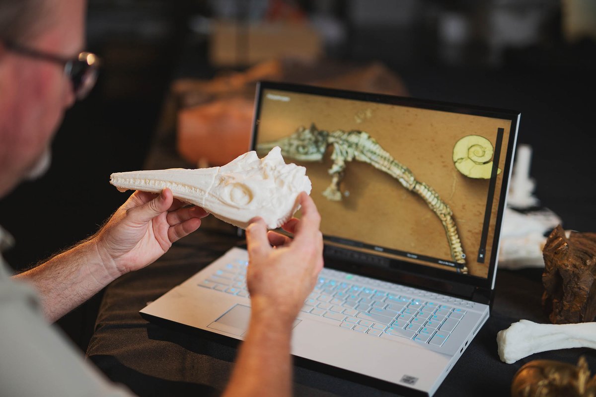 qldmuseum's tweet image. Tech is revolutionising the way museum researchers uncover and explore the creatures that roamed ancient Queensland. From photogrammetry to X-Ray and 3D modelling, discover new palaeontological tools @WSFBrisbane: bit.ly/3h5xDyq Supported by @bhp #ProjectDIGQM