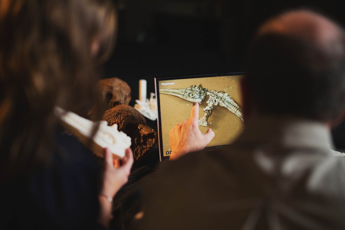qldmuseum's tweet image. Tech is revolutionising the way museum researchers uncover and explore the creatures that roamed ancient Queensland. From photogrammetry to X-Ray and 3D modelling, discover new palaeontological tools @WSFBrisbane: bit.ly/3h5xDyq Supported by @bhp #ProjectDIGQM