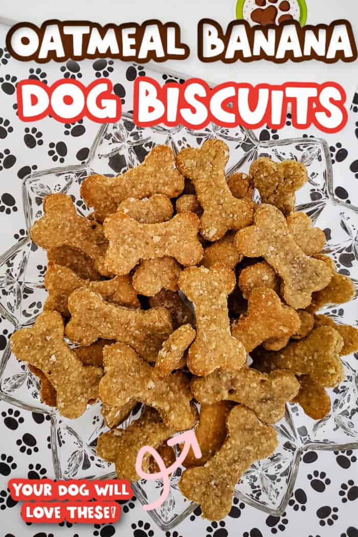 Have you need our new Dog Banana Treat recipe?  withasplashofcolor.com/the-best-oatme…  #dogsoftwitter #dogfood #EasyRecipes