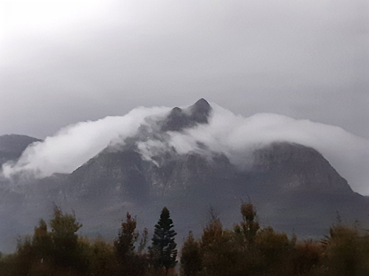 Good Morning Cape Town!

Autumn on the way 🍂🍁🧣