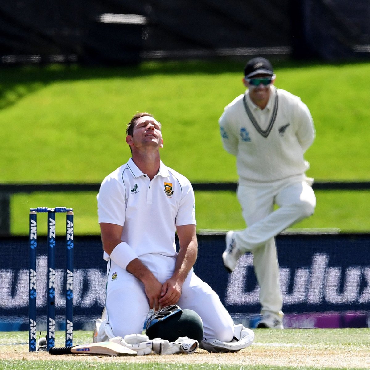 cricinfo's tweet photo. Maiden international fifty, 32 years of age ✨

Hard work pays!

Follow #NZvSA live ⏩ https://t.co/yHFQ104txm https://t.co/ByU1atS1oe