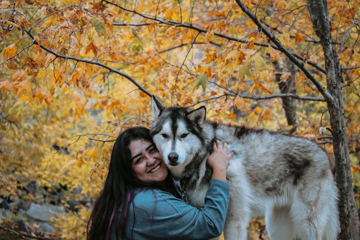 thepackofaz's tweet photo. Let me introduce myself! I’m Dulce! The pack &amp; I live in Arizona 🏜
- Leo is my birthday twin (male PWC)
- Nardo is my soulmate (Husky mix) 
- Pumpkin is my little brat (female PWC) 
Excited to join the trend &amp; see what friends we make! #dogsoftwitter #twitterdogcommunity https://t.co/tde78ksLUx