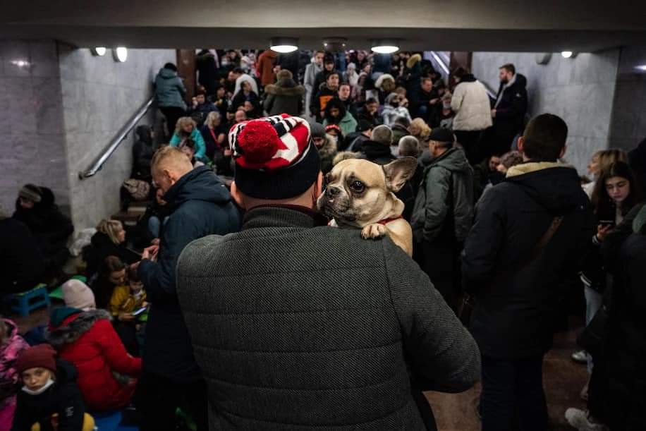 rosaferlas's tweet photo. Familias ucranianas huyen de los ataques rusos con sus pertenencias y sus animales 😟
Otros quedarán abandonados 😥
#StopWar #StopRussianAggression https://t.co/Joj5G3XJEU https://t.co/0vzBIZ84Qk