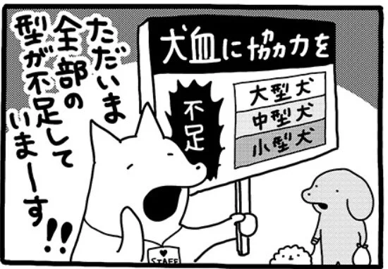 souffleの連載『貼りまわれ!こいぬ』第91話「こいぬと犬血」が本日掲載されました。こちらの連載は毎週金曜午前11時更新です。 