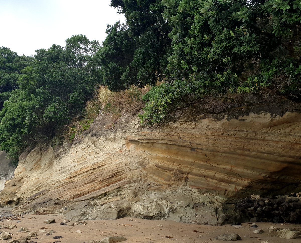 marta_ribo's tweet photo. Finding new spots for the field trip I have to organise for this semester @AUTuni ⛏ definitely out of my comfort zone (which is contemporary sediment dynamics & seafloor geomorphology) but enjoying the new challenges 💪 #academia #turbidites #WomenInScience #newchallanges https://t.co/9lhzFHUFC9