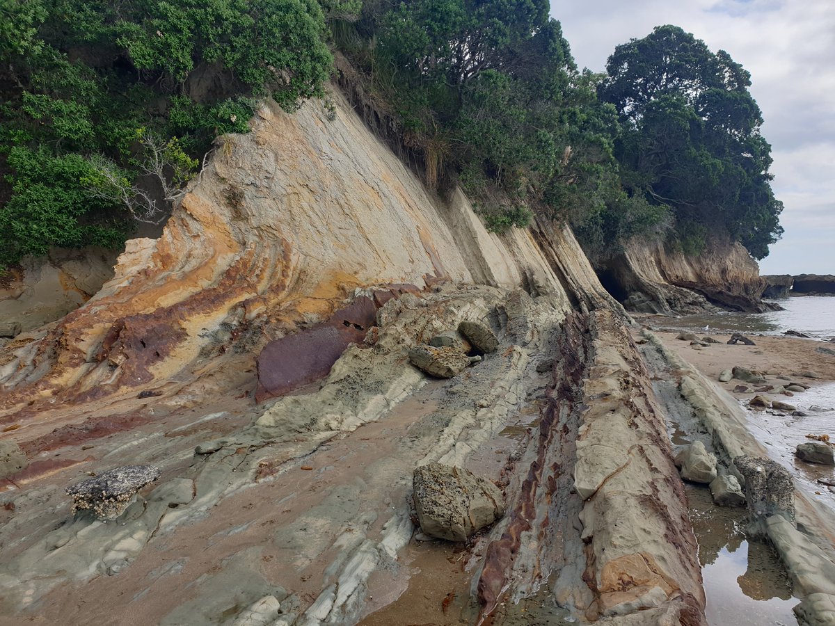 marta_ribo's tweet photo. Finding new spots for the field trip I have to organise for this semester @AUTuni ⛏ definitely out of my comfort zone (which is contemporary sediment dynamics & seafloor geomorphology) but enjoying the new challenges 💪 #academia #turbidites #WomenInScience #newchallanges https://t.co/9lhzFHUFC9