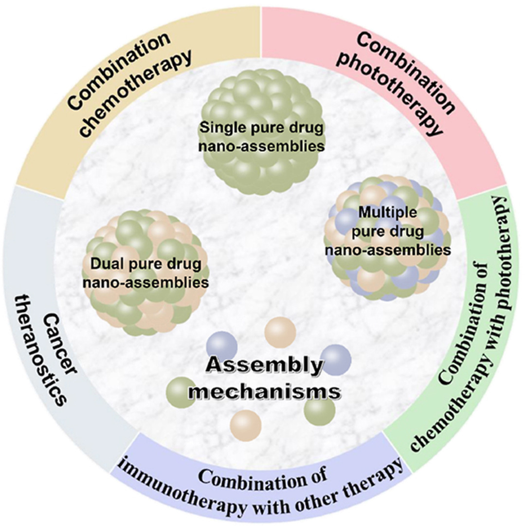 ActaPharmSinB's tweet photo. Review🎀Pure drug #nano-assemblies: A facile carrier-free #nanoplatform for efficient #cancer therapy. Highlight PDNAs on carrier-free property, simple preparation, ultra-high drug loading and co-delivery behavior for #combination therapy. From Dr. Zhai. 
https://t.co/AXOcgLICxb https://t.co/IQ1yRFVPrh