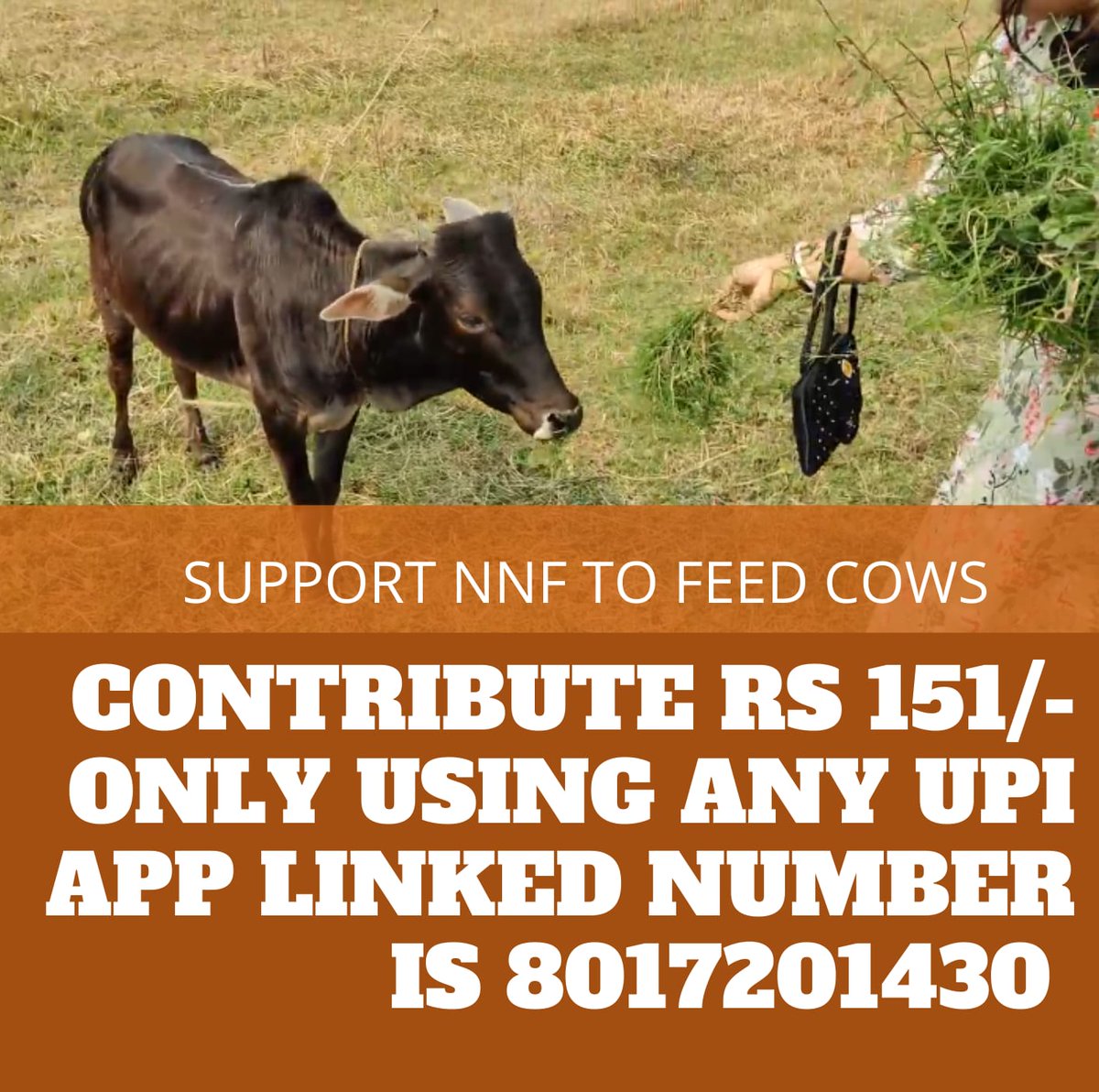 MunmunB15017739's tweet photo. Good Morning requesting your contribution for our efforts to feed Gau Matas. Pls support this initiative of #NarayanNarayaniFoundation to #FeedCows https://t.co/ELjZVllltl
