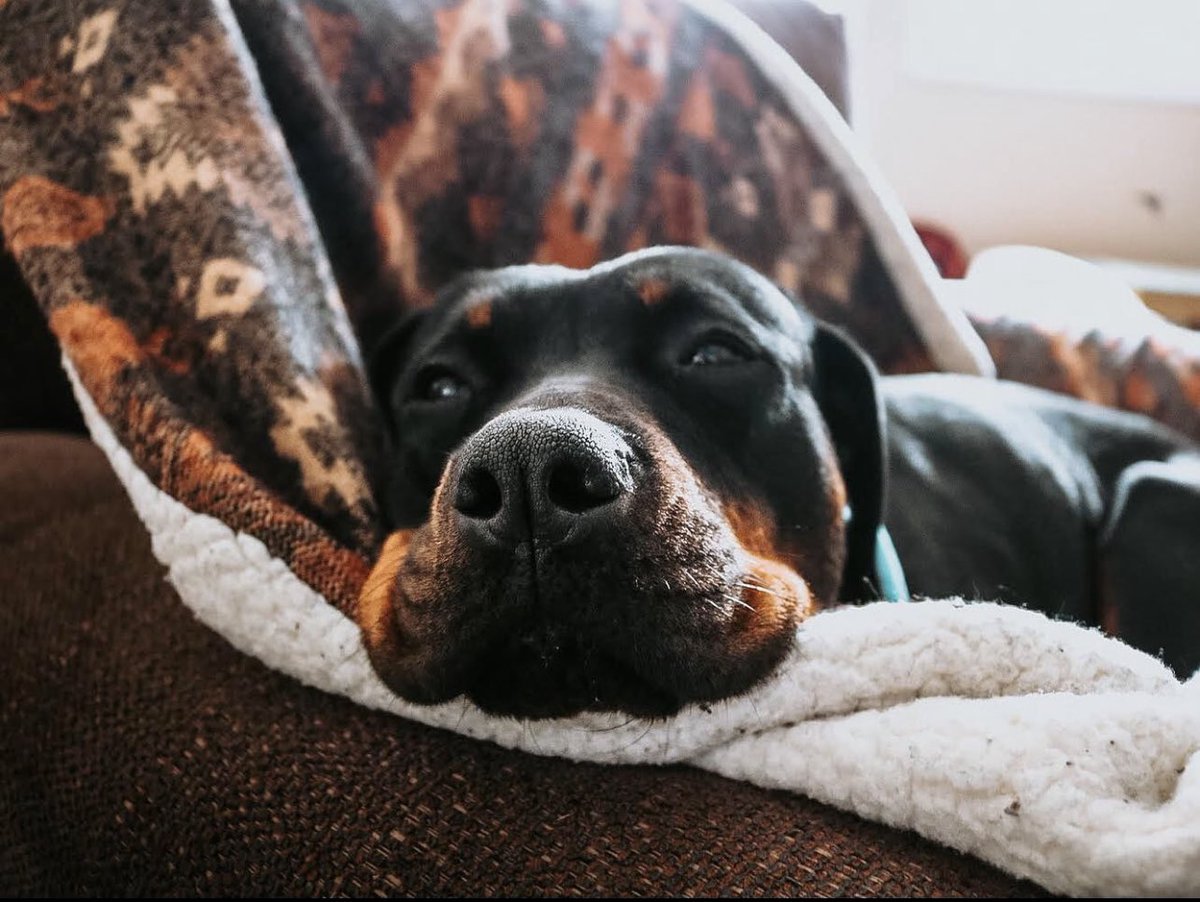 Ruby & Katana tweet media