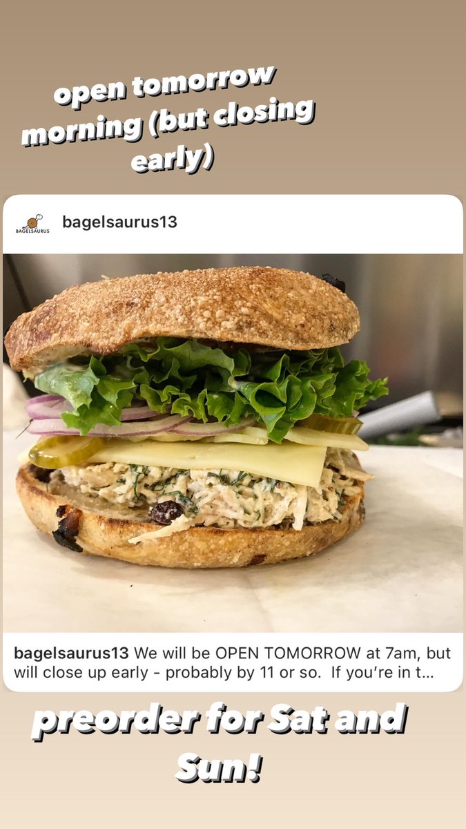 Bagelsaurus (@bagelsaurus13) on Twitter photo 