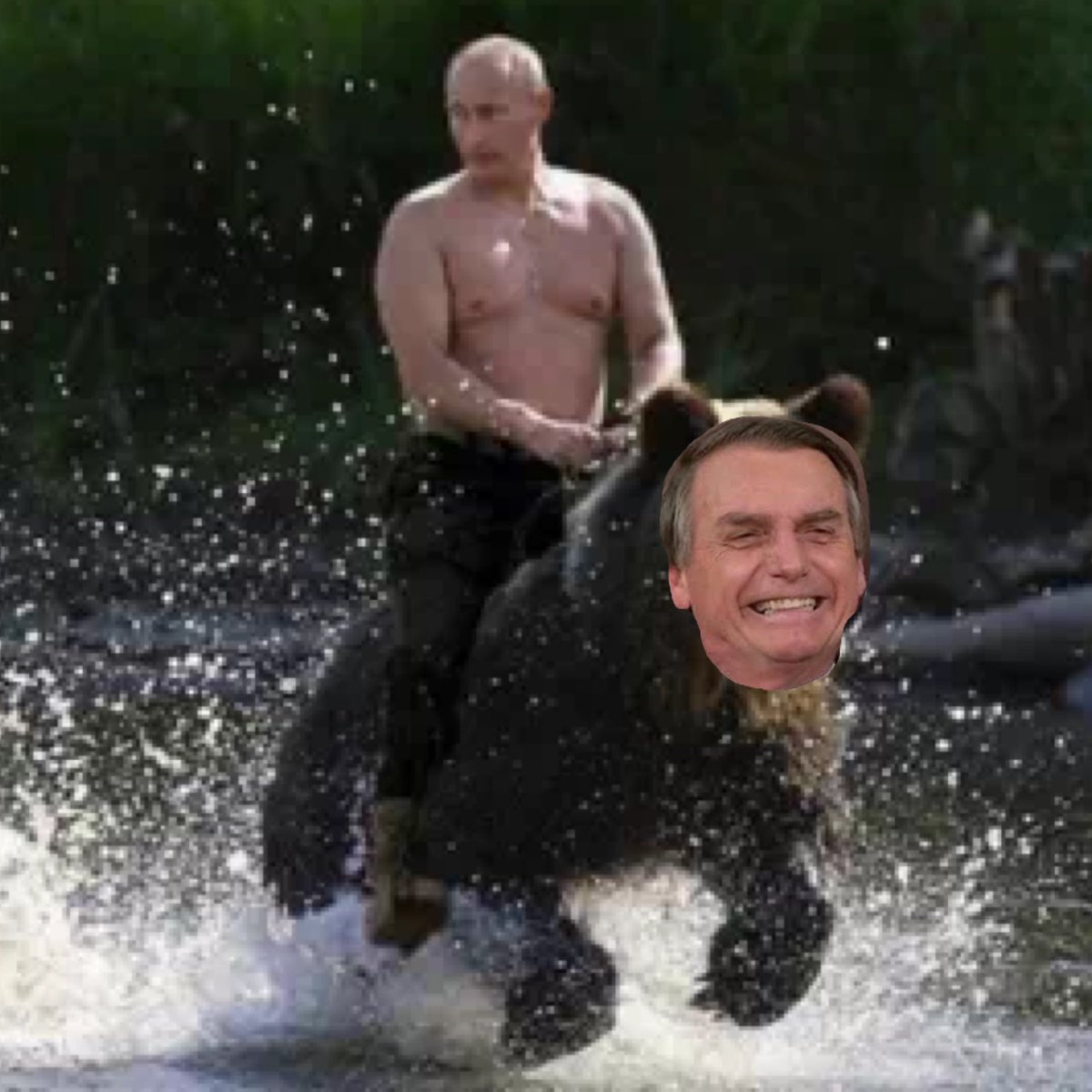 Anderson AM tweet media