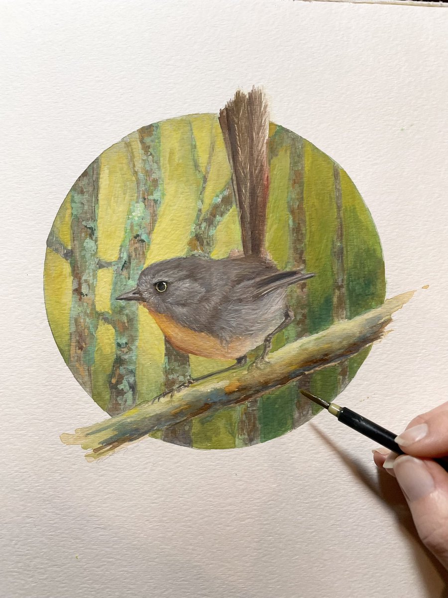 maggie_h's tweet photo. @kristinadeckert I’d love to participate. I work in a couple different styles, but very bird focused. https://t.co/DraddRiZ00