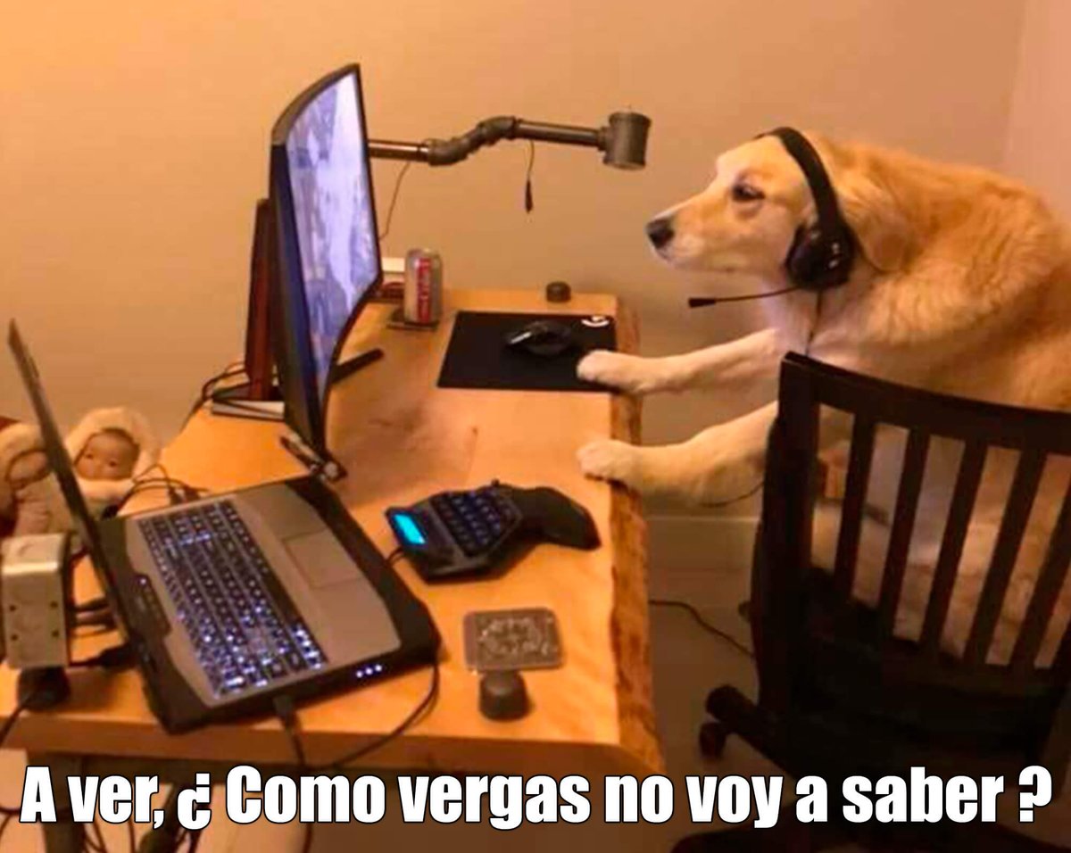 <a href="/anna_lauCL666/">FullSnack Dev || Data</a> Esta siempre será mi forma de resumir ese comportamiento que yo también tengo jajaja