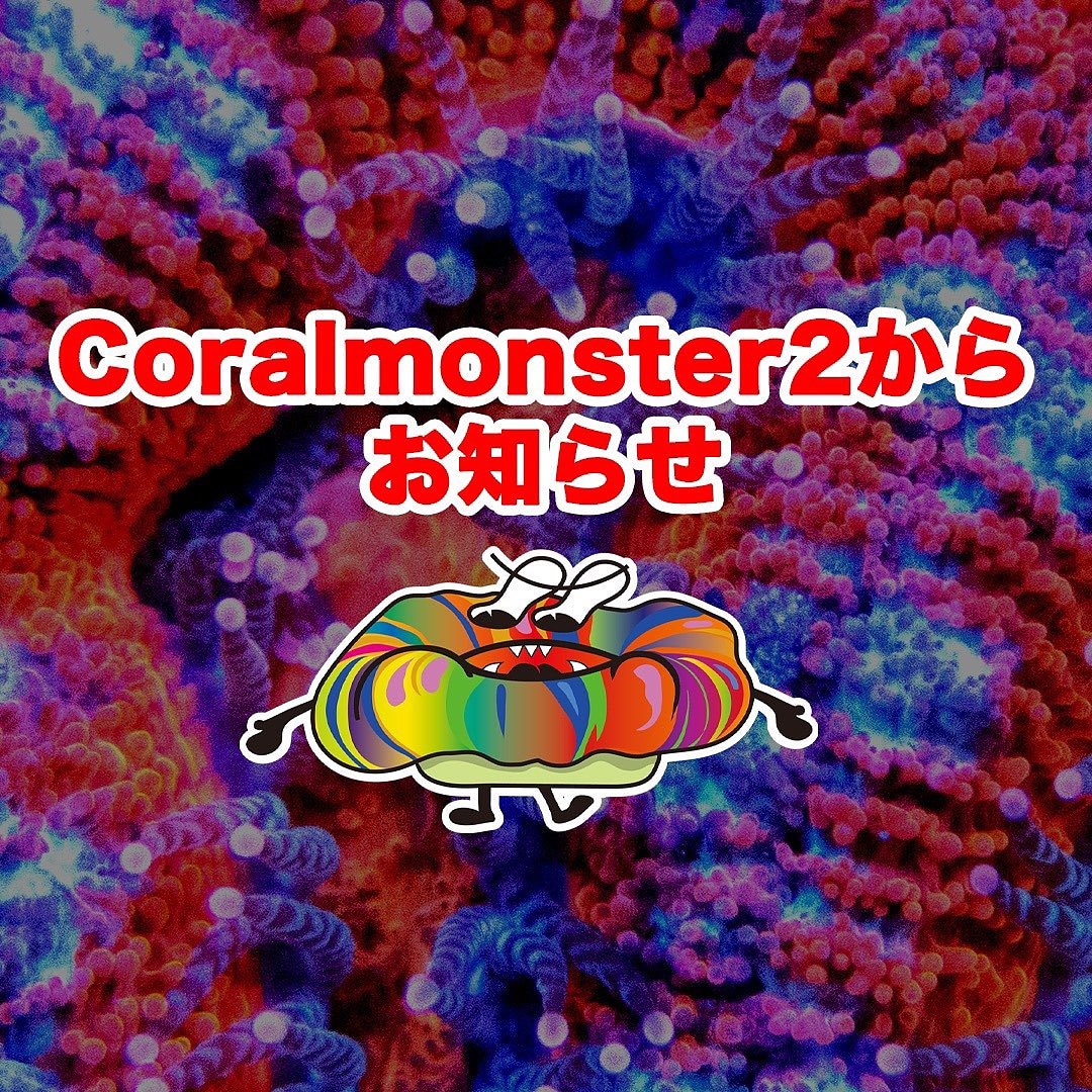 coralmonster2's tweet photo. いつも当店をご利用頂き誠にありがとうございます。
2月25日は臨時休業とさせていただきます。
終日お電話、メール、発送等の対応ができかねます。ご迷惑をおかけしますがご了承下さい。 https://t.co/PsTAue5tUv