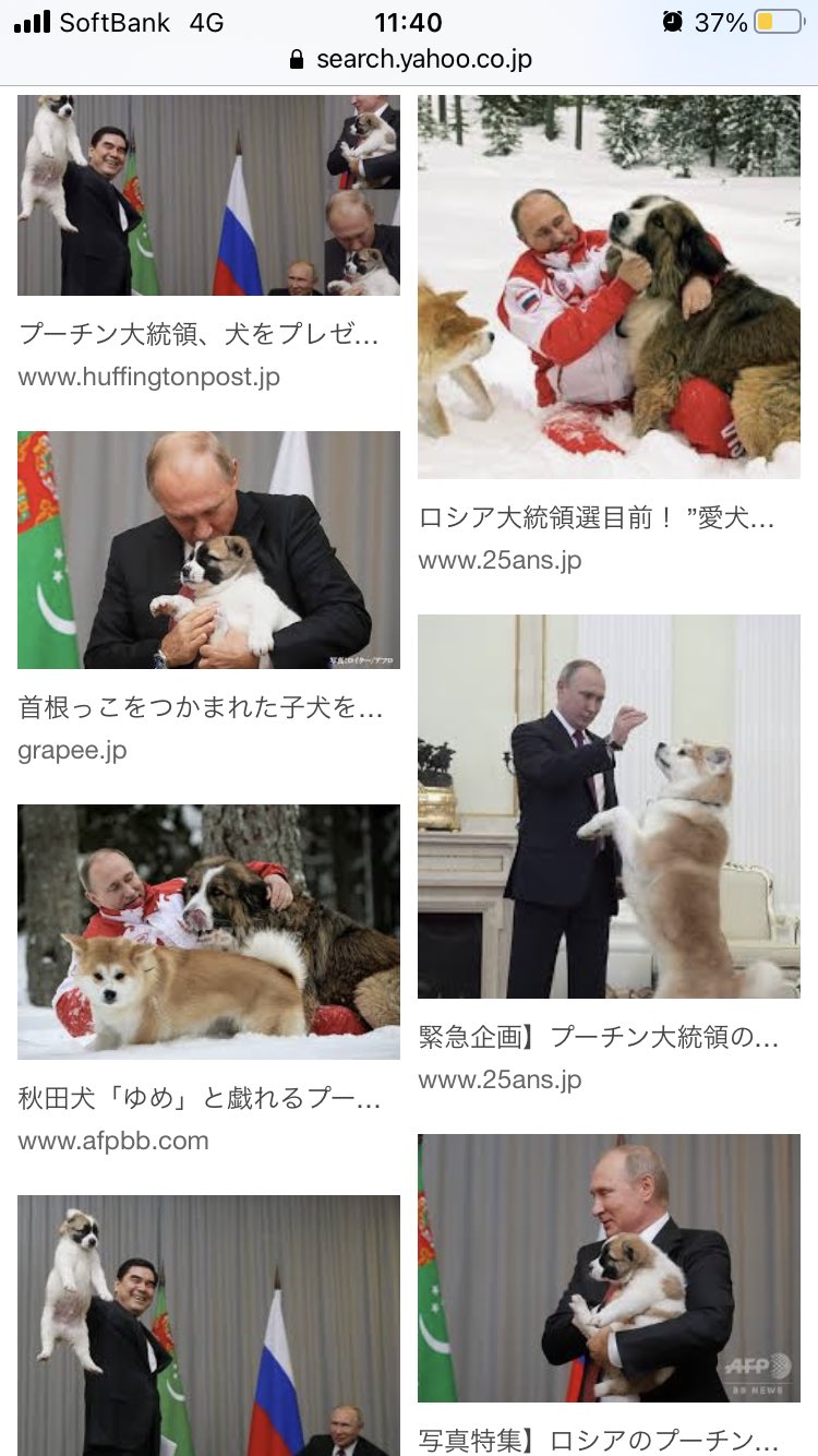 ローザリンデ エリザベート フォン ルーイヒ グレンツェント 犬好きに悪い人はいないって絶対ウソだよね プーチン大統領は愛犬家として有名なのにウクライナに侵攻してるし T Co Eus5rwncq1 Twitter