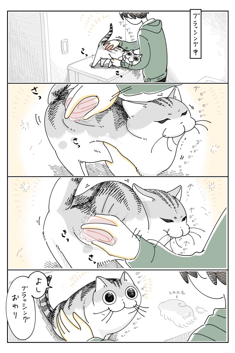 ブラッシングが終わったと思ったら、次々に取り損ねた毛が見つかり･･･！読んでいて癒される猫漫画！