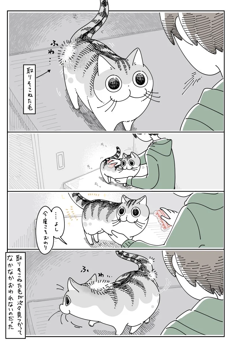 ブラッシングが終わったと思ったら、次々に取り損ねた毛が見つかり･･･！読んでいて癒される猫漫画！