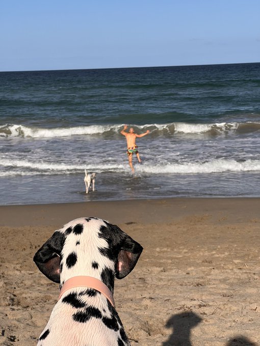 2 pic. Beach babes ? https://t.co/2gq6QyG98B