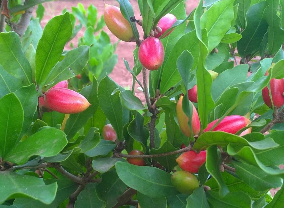 NAPB Graduate Students tweet media