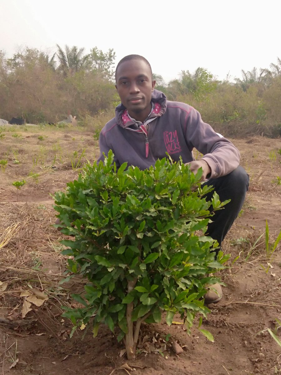 NAPB Graduate Students tweet media