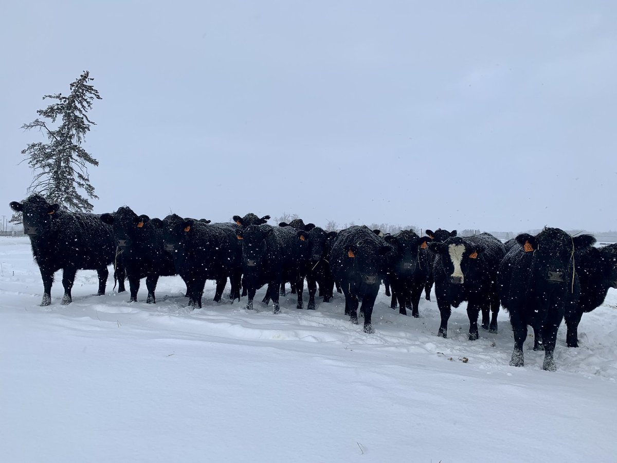 Jacquelyn tweet media