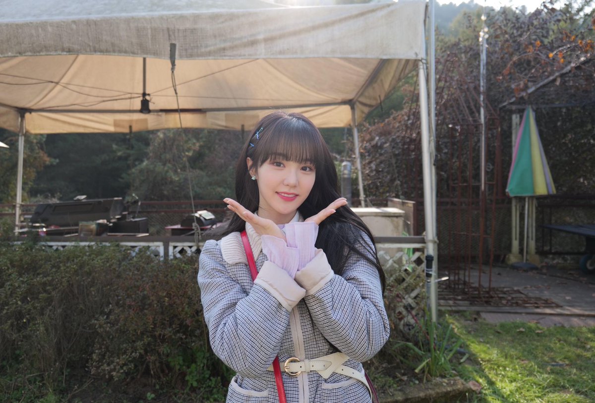 nanfolder tweet picture