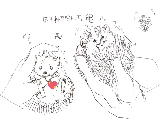 🦔な🎍みっち 