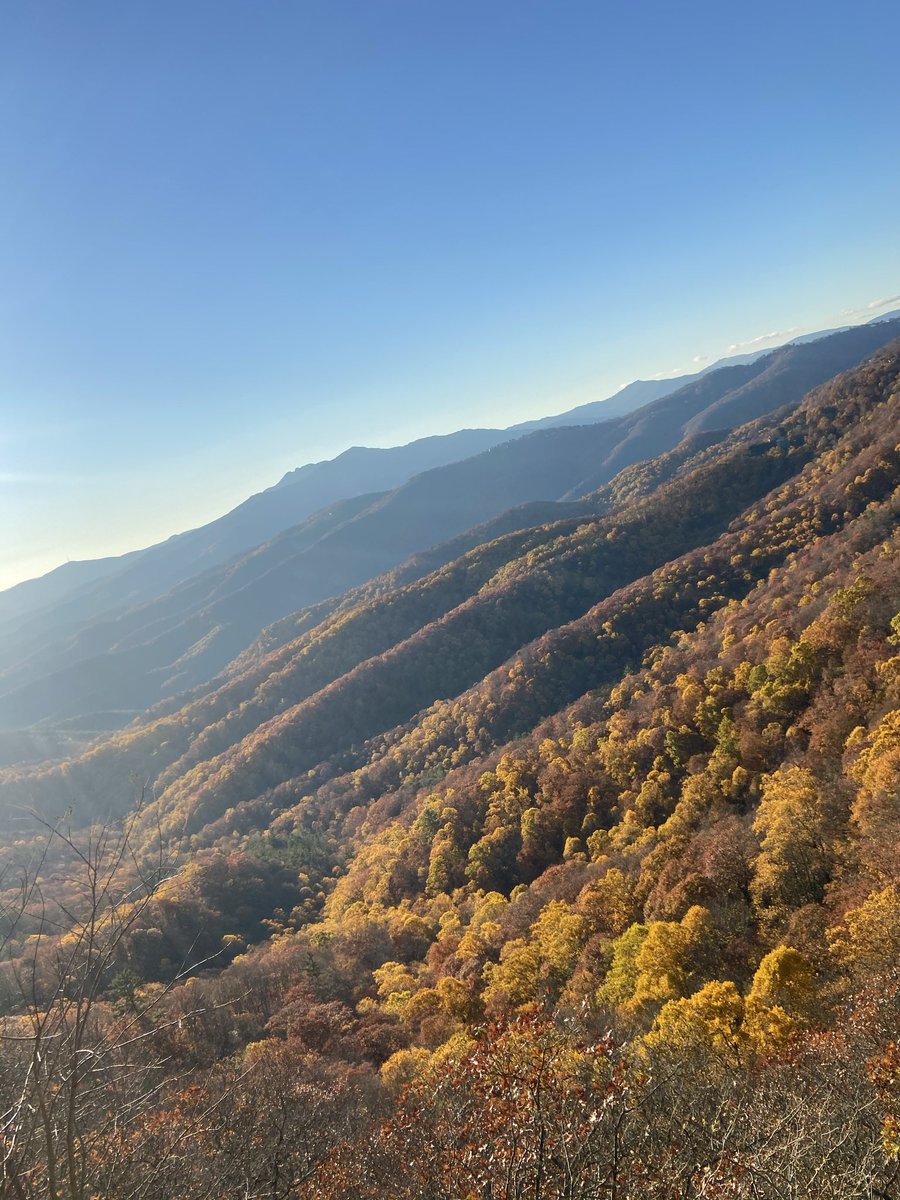 stormNY's tweet photo. @JeremyRenner Boone, NC https://t.co/iHB198KVmQ