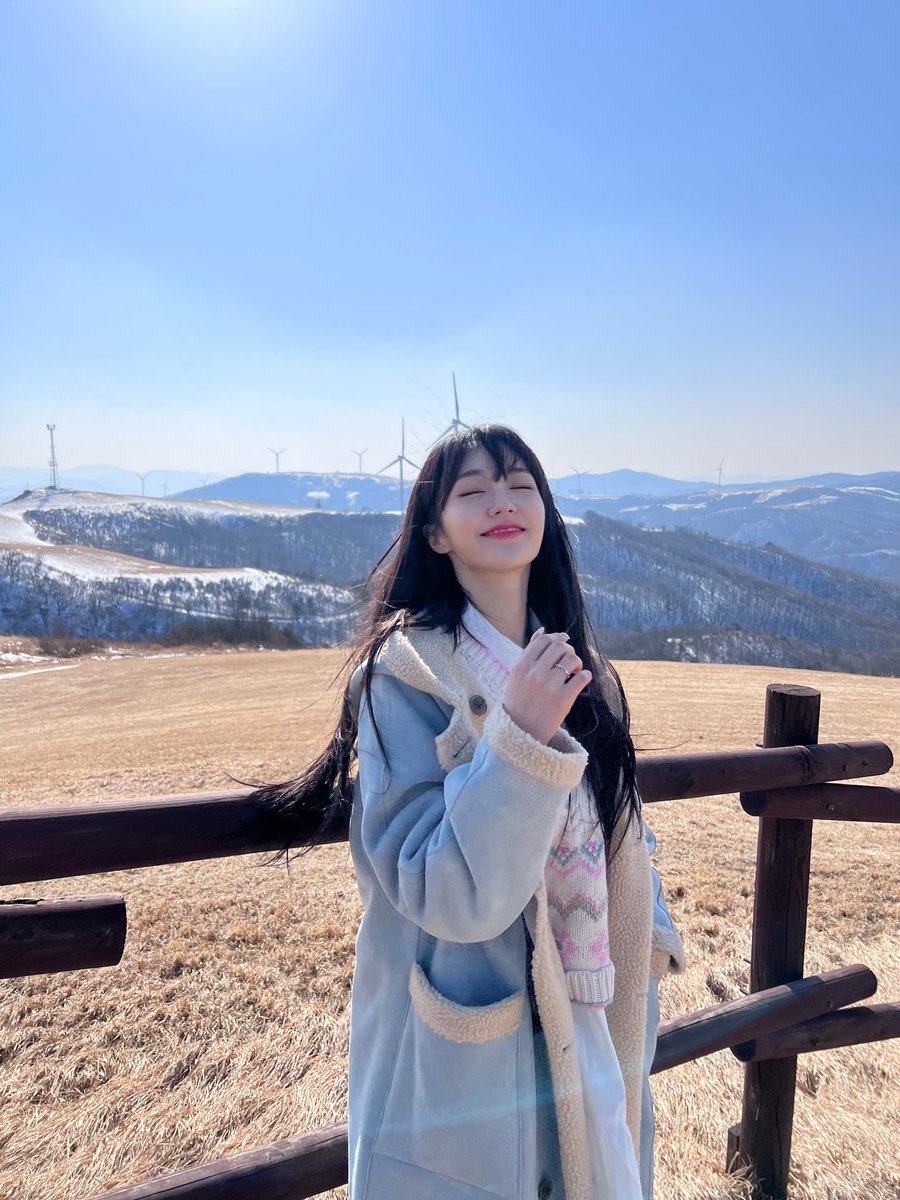 nanfolder tweet picture
