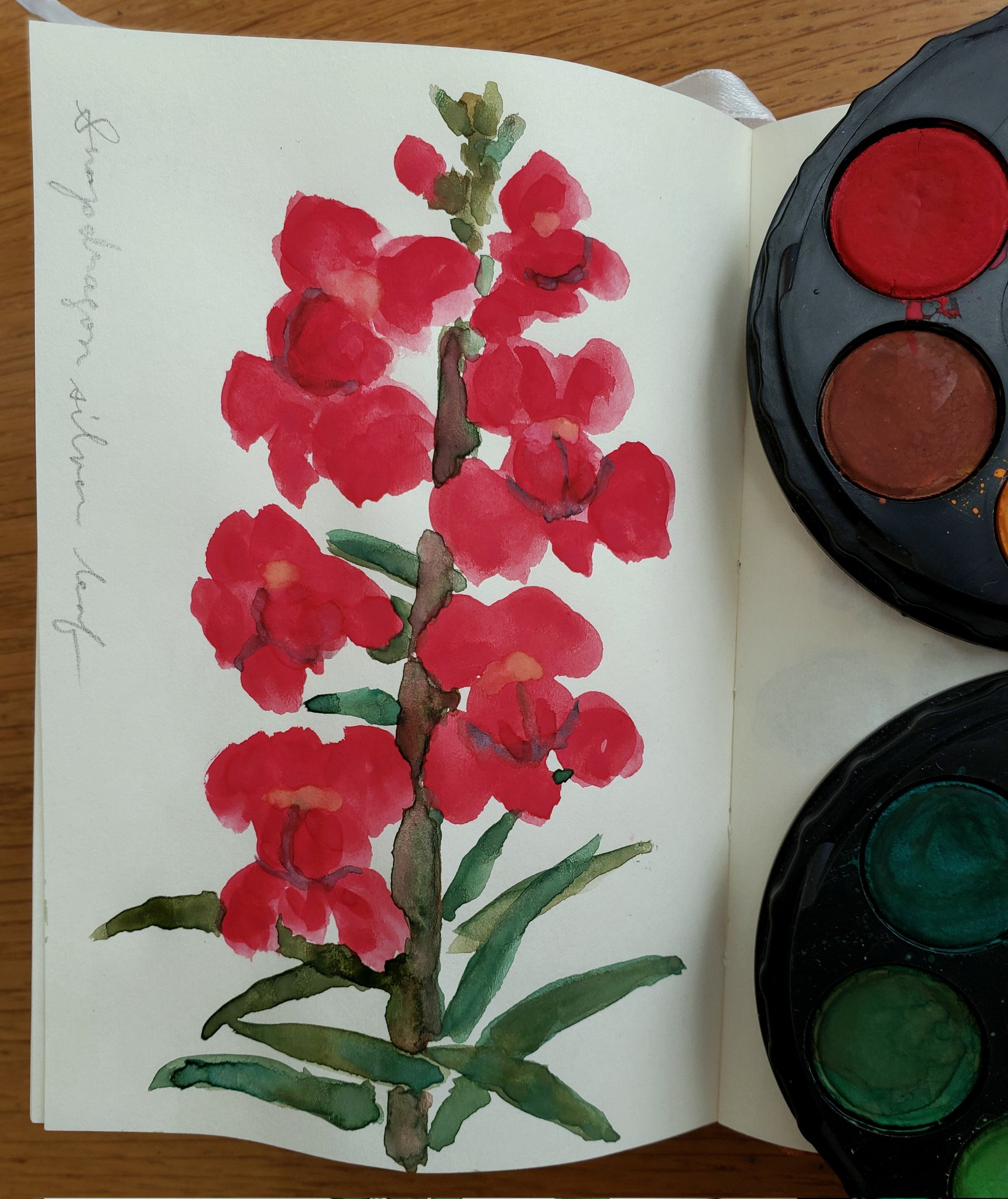 تويتر まえじまふみえ Illustrator على تويتر 深紅に銀葉の渋いお花 Illustration イラスト Booowho Illustration Watercolor 水彩 Dailydrawing Drawing 金魚草 Snapdragon Flower 花 T Co I6hcjgav17