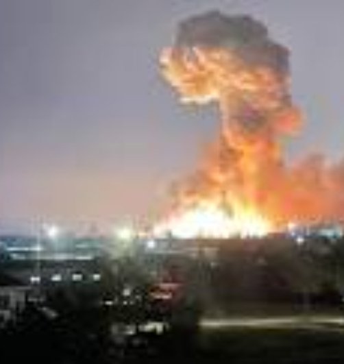 Il mio affetto e la mia solidarietà vanno al popolo ucraino e a tutti quei popoli che, loro malgrado, vengono attaccati, solo per un problema d'interessi economici e politici. 
L'essere vivente più stupido, più gretto, più infame al mondo, è l'uomo. Per questo amo  gli animali...